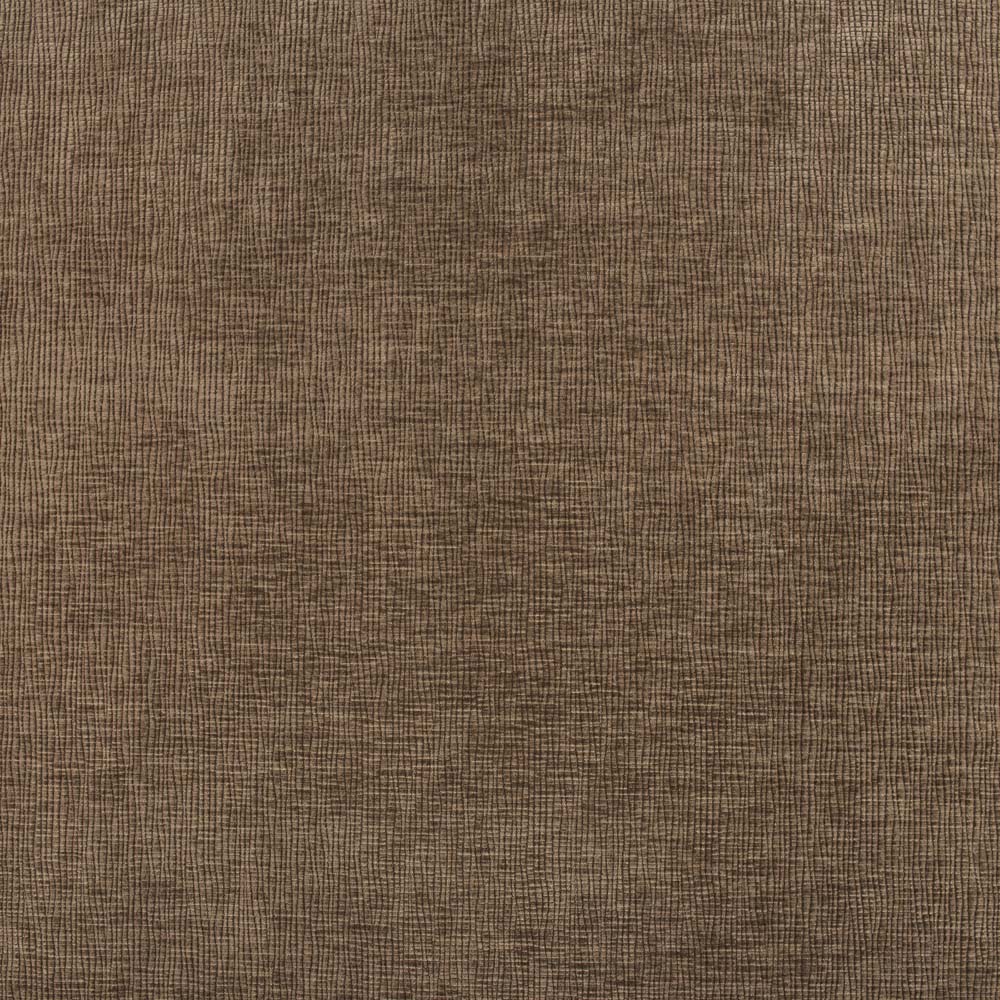 #11231 Essay Cocoa